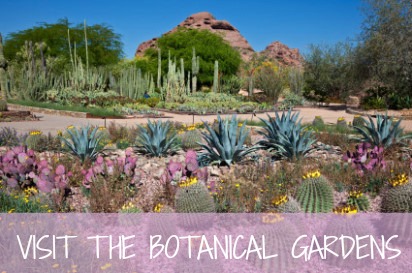 Desert-Botanical-Garden-Entrance