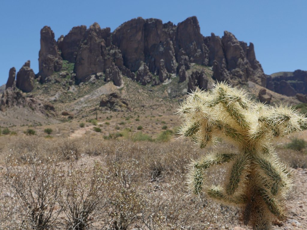 lost dutchman state par