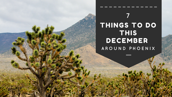 7 Things to Do this December Around Phoenix | MCLife Phoenix