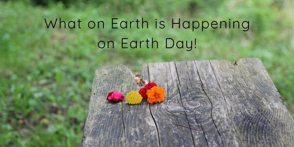 Since 1970 we have been formally celebrating Earth Day globally on April 22nd. This year you can celebrate right here in Phoenix with some fun events and fundraising efforts! 