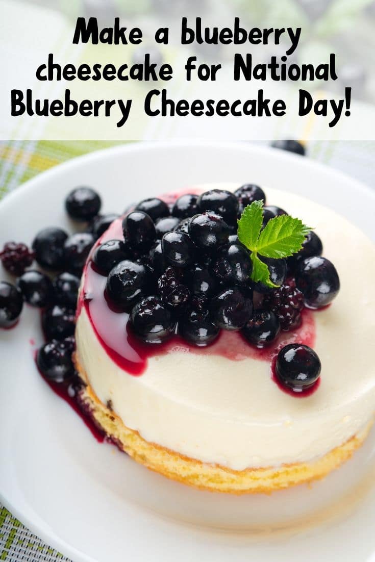 Beautiful blueberry cheesecake with fresh berries and mint on top. Whole cheesecake on a plate. 