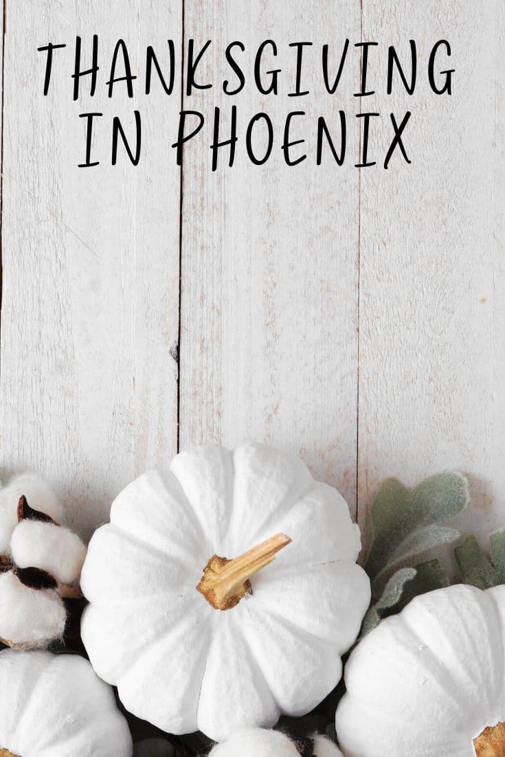 This time of year, we tend to focus on what we’re grateful for, so we thought we’d give you more to add to that list! Thanksgiving in Phoenix has already begun! Celebrate with parades, shopping, and seeing festive lights - or just chow down a delicious meal at one of our many amazing area restaurants.