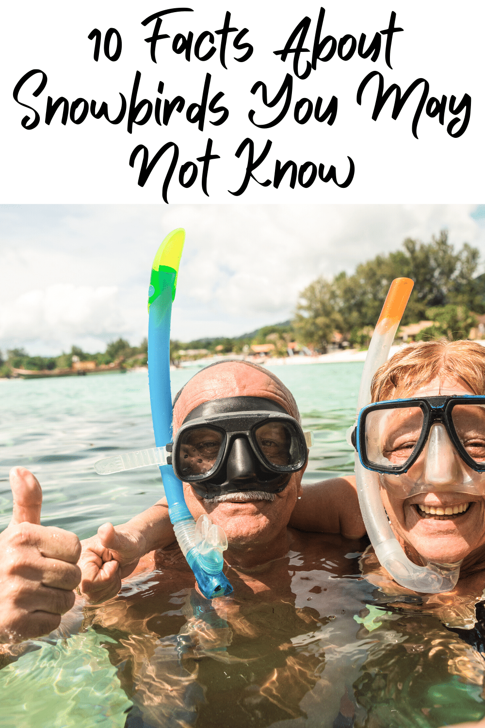 Do you know about snowbirds? They're not birds...they're people! Snowbirds are people, generally baby boomers, who migrate with the seasons. They usually head south for the winter and then they head back north for the summers! They get the best of both worlds and the best weather year round!