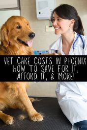 Vet Care Costs In Phoenix  How To Save For It Afford It More 177x266 