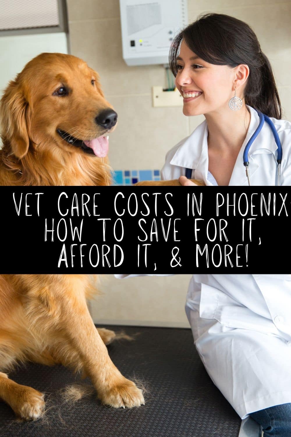 Vet care costs in Phoenix and other places can be pricey depending on what is going on with your pet. Before you bring a new pet home, or before you head into a costly vet procedure it's important to know these tips and tricks for keeping your costs low!