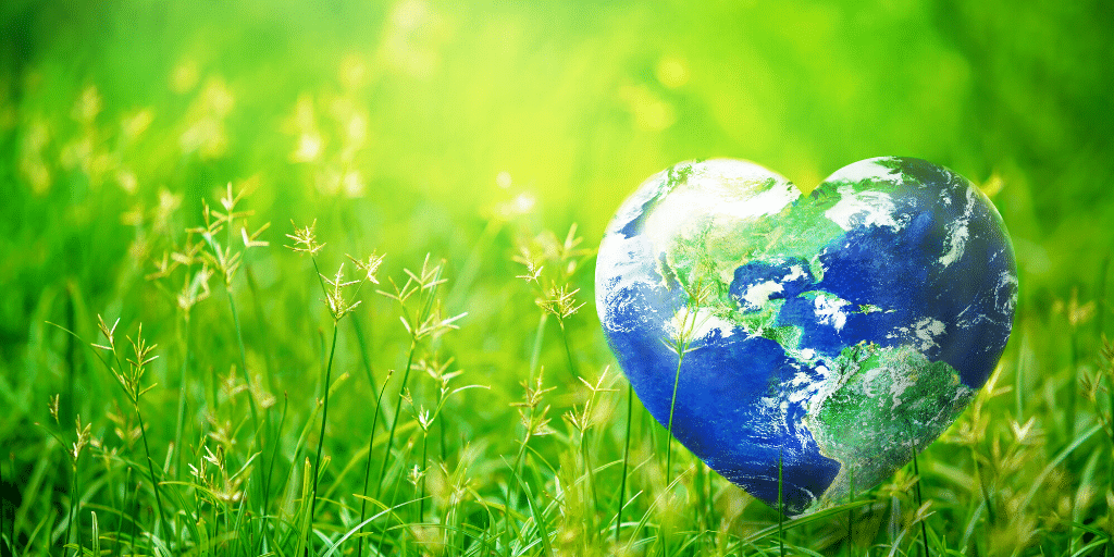 Earth Day in Phoenix is almost here. This year, instead of finding ways to volunteer in Phoenix, use these tips to be more earth conscious from home!