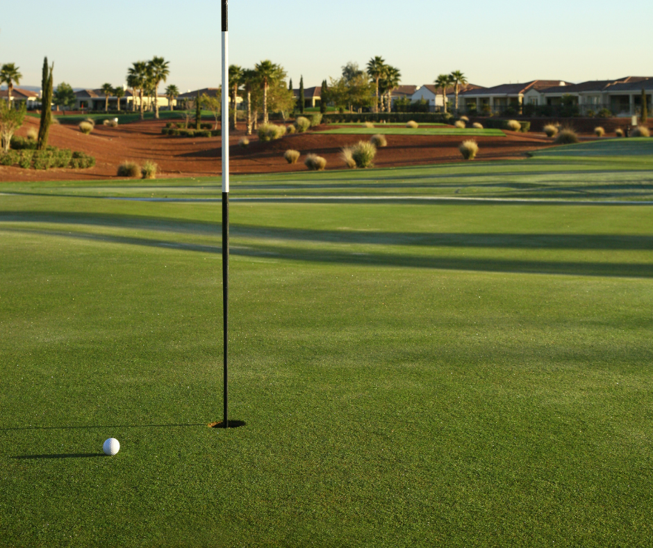 golf ball laying on one of the golf course in Phoenix near the hole. 