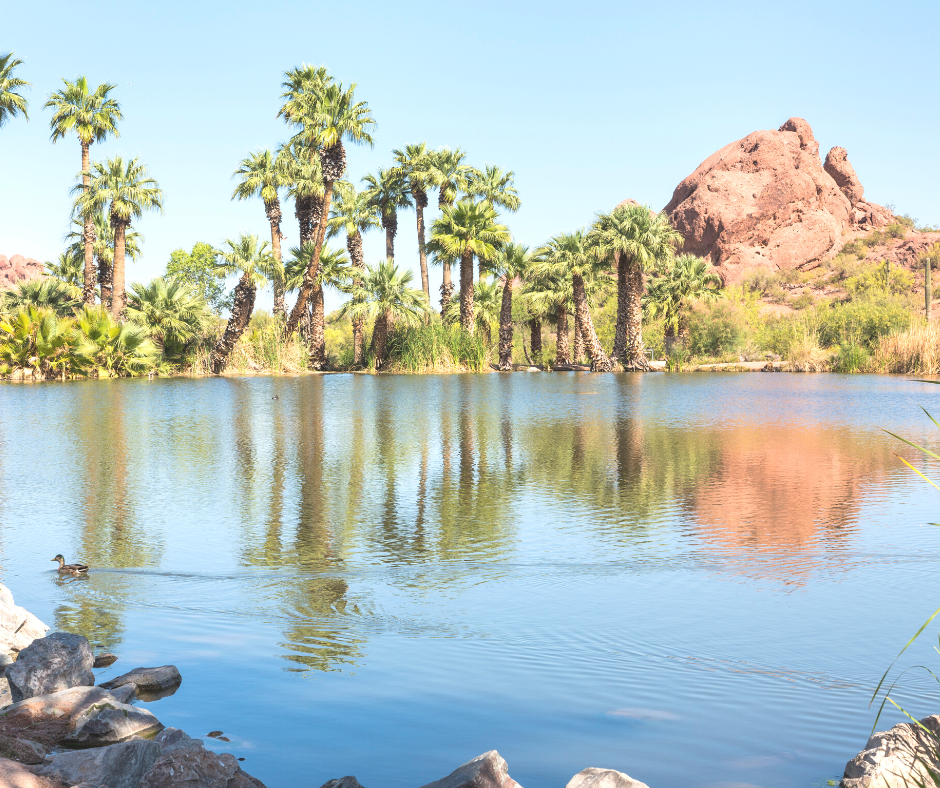 image of a lake at a park in Phoenix for the 10 things to do in Phoenix for free post.