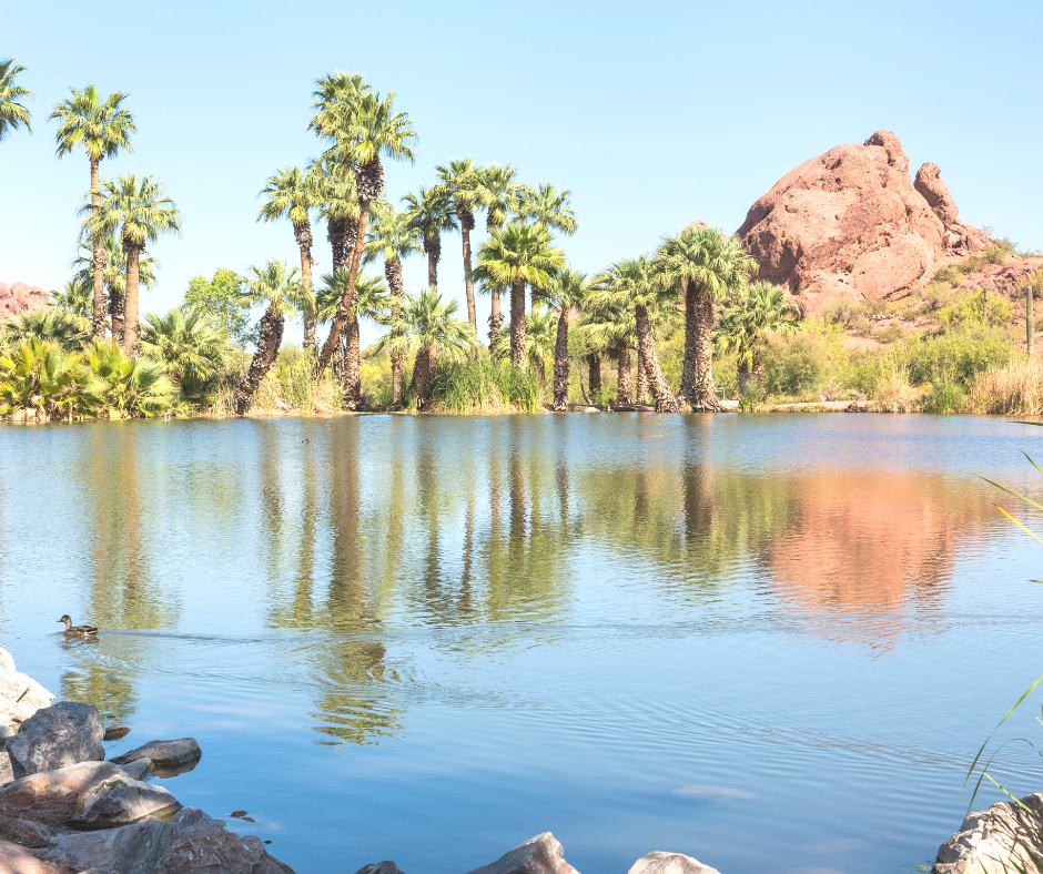 image of a lake at a park in Phoenix for the 10 things to do in Phoenix for free post. 