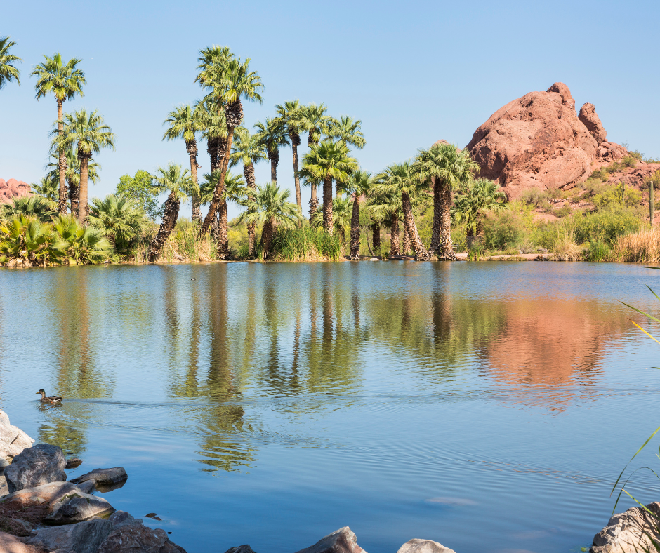 view of an oasis 